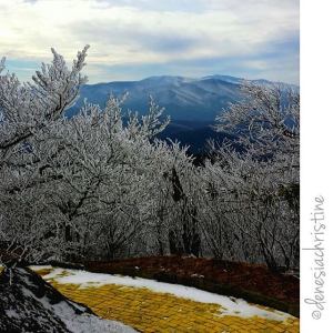 ©DenesiaChristine on Instagram, View from Yellow Brick Road
