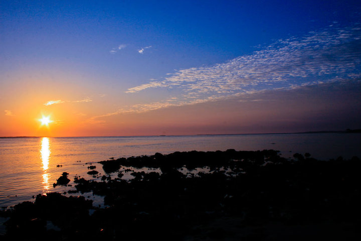 photo courtesy Denesia Christine