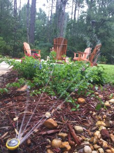 Elusive Pleasure: Sprinklers in the Garden of Life at JoanTWarren.com